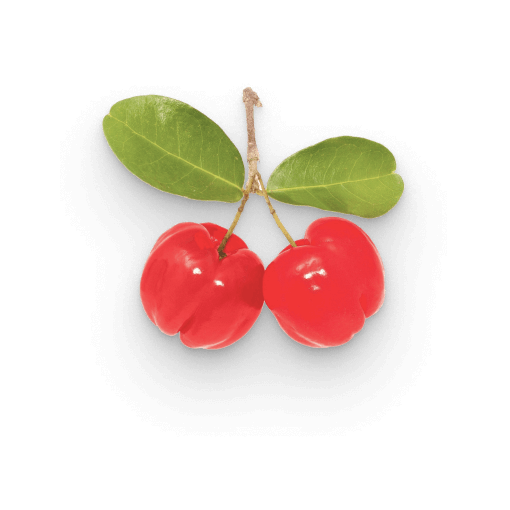 ESTRATTO DI ACEROLA