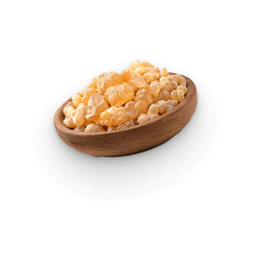 ESTRATTO DI BOSWELLIA SERRATA